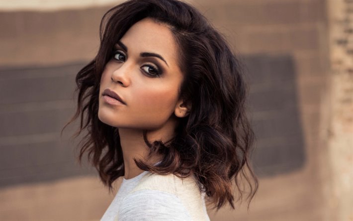 Monica Raymund Cosmetic Surgery Face