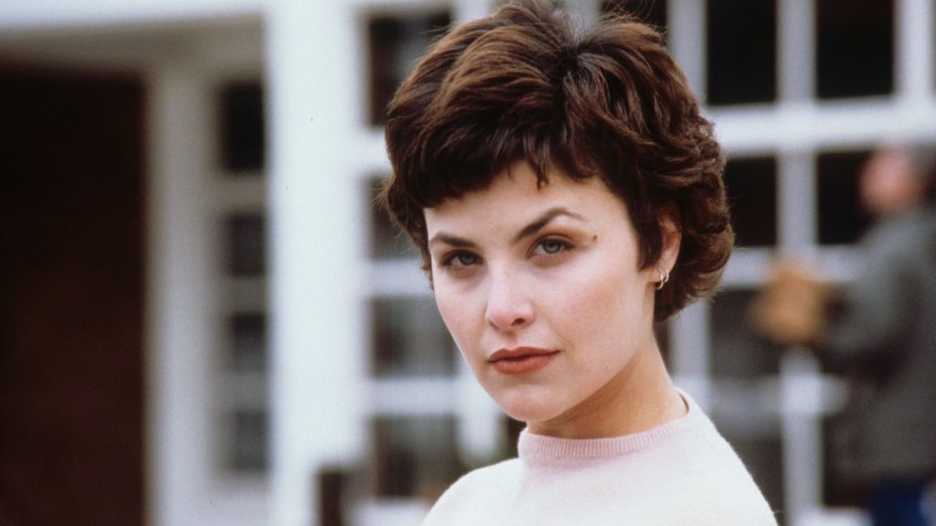 Sherilyn Fenn Plastic Surgery