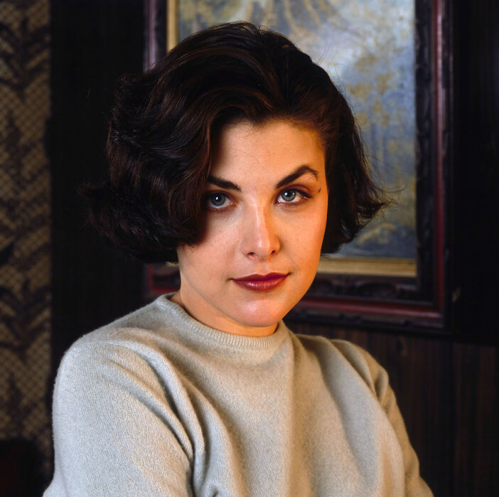 Sherilyn Fenn Plastic Surgery Face