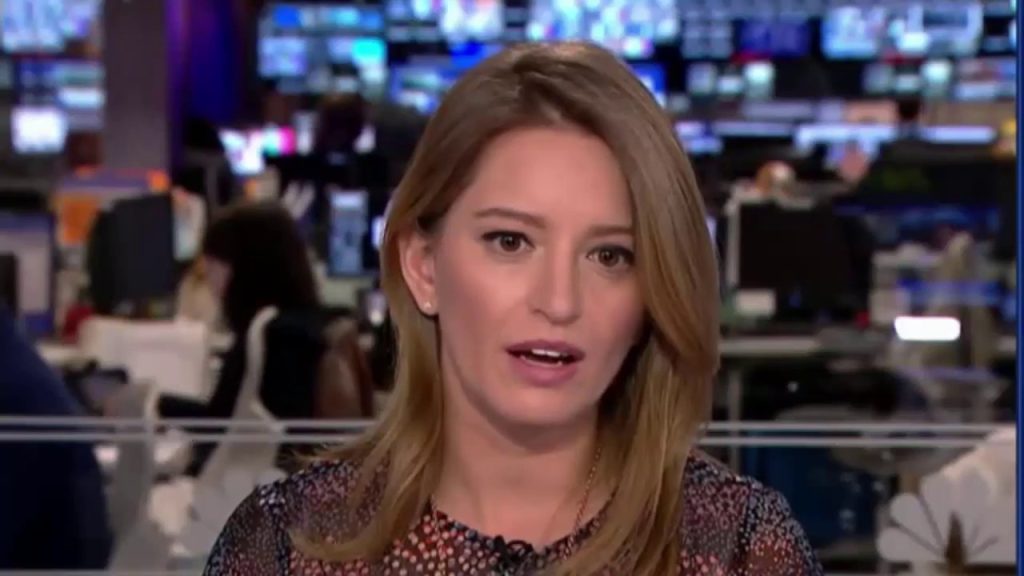 Katy Tur Cosmetic Surgery Face
