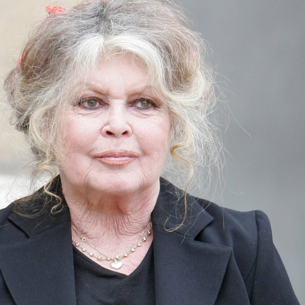 Brigitte Bardot Cosmetic Surgery Face