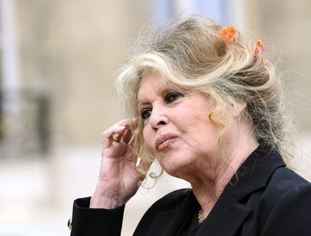 Brigitte Bardot Plastic Surgery